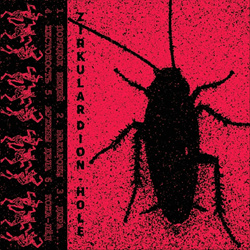 Zirkular Dion - Hole (2025)